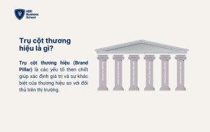 Brand pillar là gì?