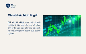Chỉ số tài chính là gì?