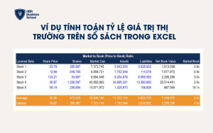 \Ví dụ tính toán tỷ lệ giá trị thị trường trên sổ sách trong excel