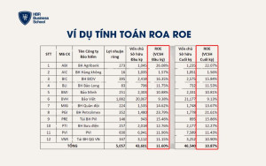 Ví dụ bảng tính toán ROA; ROE