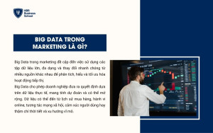 Big Data trong Marketing là gì?