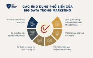Các ứng dụng phổ biến của Big Data trong Marketing