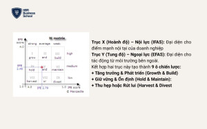 Cấu trúc ma trận IE