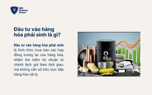 Đầu tư hàng hóa phái sinh là gì?