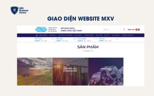 Giao diện website MXV