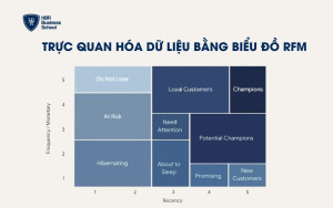 Trực quan hóa dữ liệu bằng biểu đồ RFM