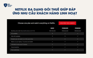 Netflix đa dạng gói thuê bao - Đáp ứng nhu cầu linh hoạt của khách hàng