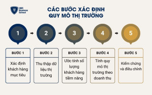 Các bước xác định quy mô thị trường