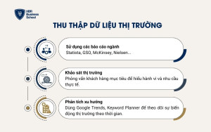 Thu thập dữ liệu thị trường