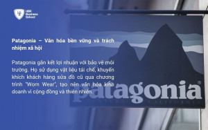 Patagonia – Văn hóa bền vững và trách nhiệm xã hội