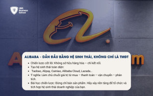 Alibaba – Dẫn đầu bằng hệ sinh thái, không chỉ là thương mại điện tử
