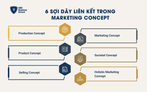 6 sợi dây liên kết trong Marketing Concept