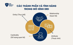 Các thành phần và tính năng trong mô hình ERD