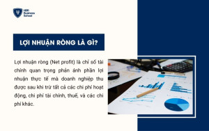 Khái niệm Lợi nhuận ròng