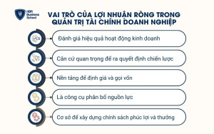 Vai trò của lợi nhuận ròng trong quản trị tài chính doanh nghiệp