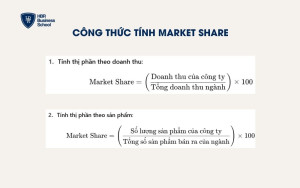 Công thức tính Market Share