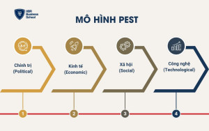 Mô hình PEST