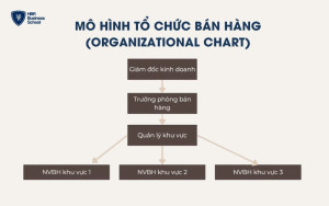 Mô hình tổ chức bán hàng (Organizational Chart)