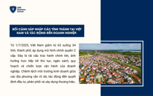 Bối cảnh sáp nhập các tỉnh thành tại Việt Nam và tác động đến doanh nghiệp