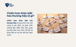 Chiến lược khác biệt hóa thương hiệu là gì?