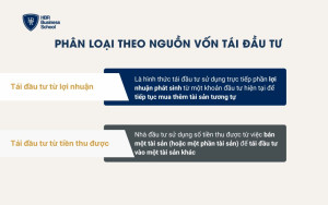 Phân loại theo nguồn vốn tái đầu tư