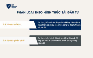 Phân loại theo hình thức tái đầu tư