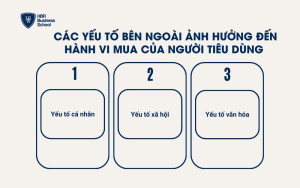Các yếu tố bên ngoài ảnh hưởng đến hành vi mua của người tiêu dùng