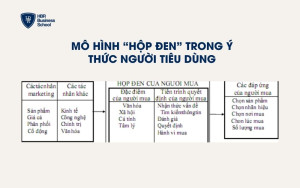 Mô hình “hộp đen” trong ý thức người tiêu dùng
