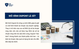 Định nghĩa Mô hình Dupont