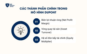 Các thành phần chính trong mô hình Dupont