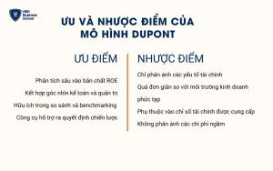 Ưu và nhược điểm của mô hình Dupont