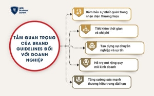 Tầm quan trọng của Brand Guidelines đối với doanh nghiệp