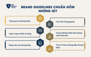 Brand Guidelines chuẩn gồm những gì?