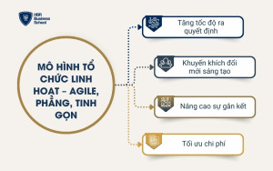 Mô hình tổ chức linh hoạt – Agile, phẳng, tinh gọn
