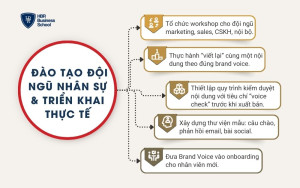Đào tạo đội ngũ nhân sự & triển khai thực tế