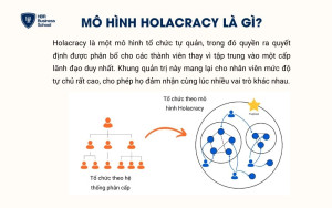 Holacracy là gì?