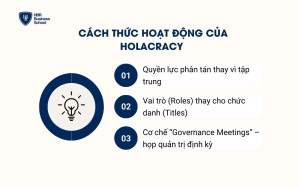 Mô hình Holacracy hoạt động như thế nào?