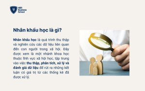 Nhân khẩu học là gì?
