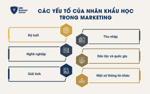Các yếu tố của nhân khẩu học trong Marketing