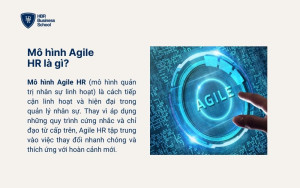 Mô hình Agile HR là gì?