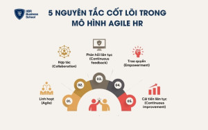 5 nguyên tắc cốt lõi trong mô hình Agile HR