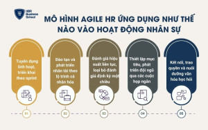 Mô hình Agile HR ứng dụng như thế nào vào hoạt động nhân sự