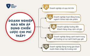 Doanh nghiệp nên áp dụng chiến lược chi phí thấp