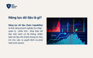 Năng lực dữ liệu là gì?