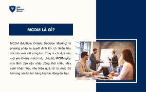 Định nghĩa MCDM