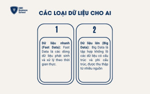 2 loại dữ liệu cho AI