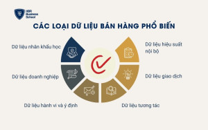 Các loại dữ liệu bán hàng phổ biến