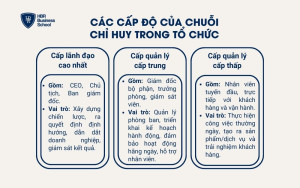 Các cấp độ của chuỗi chỉ huy trong tổ chức