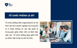 Khái niệm Tổ chức phẳng