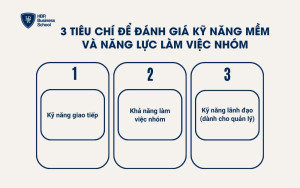 3 tiêu chí để đánh giá kỹ năng mềm và năng lực làm việc nhóm
